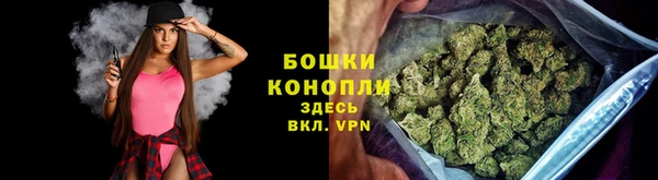 2c-b Горняк