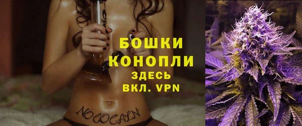 2c-b Горняк